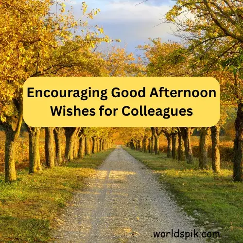 Encouraging Good Afternoon Wishes for Colleagues