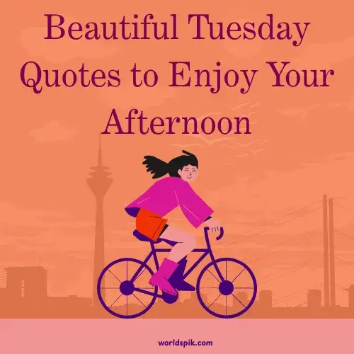 Beautiful Tuesday Quotes to Enjoy Your Afternoon