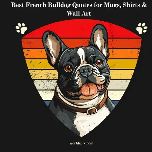 Best French Bulldog Quotes for Mugs, Shirts & Wall Art