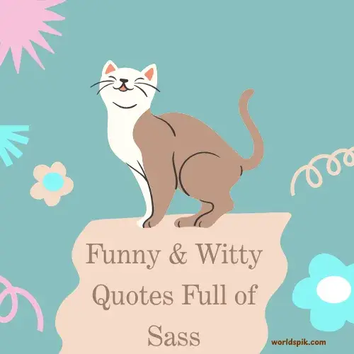 Funny & Witty Quotes Full of Sass