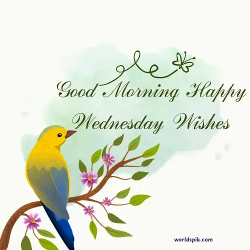 Good Morning Happy Wednesday Wishes