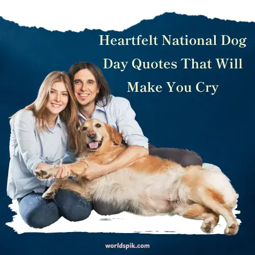 Heartfelt National Dog Day Quotes That Will Make You Cry