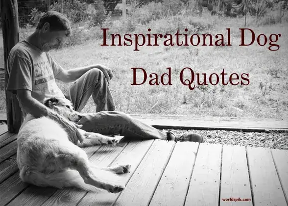 Inspirational Dog Dad Quotes