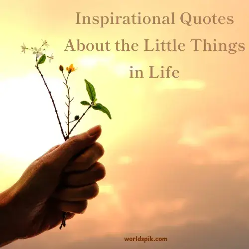 Inspirational Quotes About the Little Things in Life