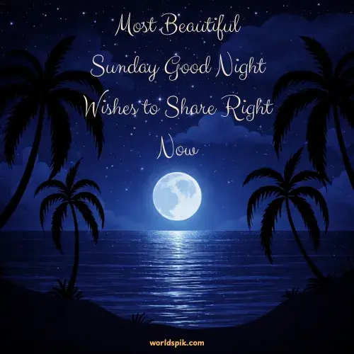 Most Beautiful Sunday Good Night Wishes to Share Right Now
