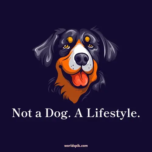 Not a Dog. A Lifestyle.