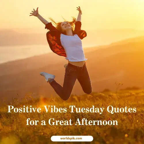Positive Vibes Tuesday Quotes for a Great Afternoon