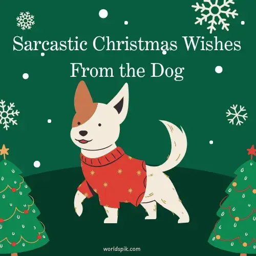 Sarcastic Christmas Wishes From the Dog