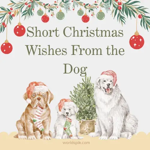 Short Christmas Wishes From the Dog