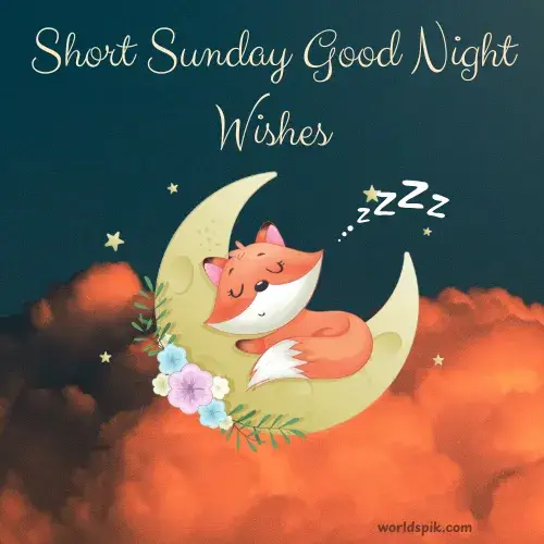 Short Sunday Good Night Wishes