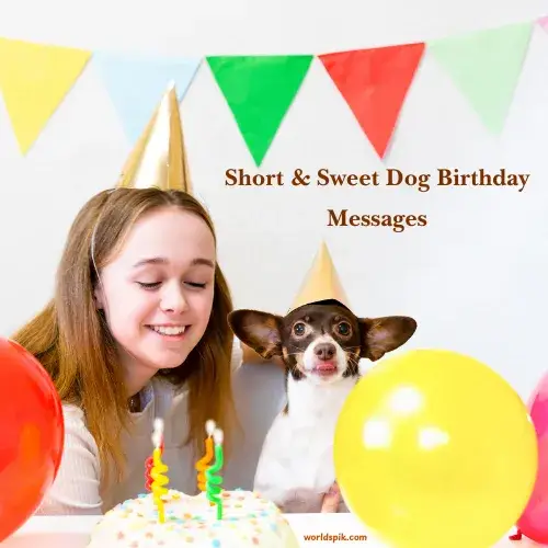 Short & Sweet Dog Birthday Messages