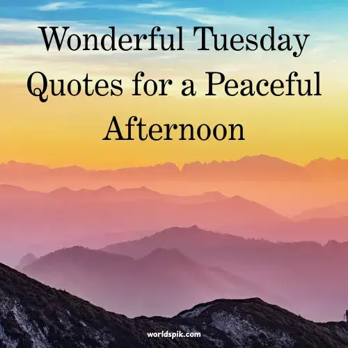 Wonderful Tuesday Quotes for a Peaceful Afternoon