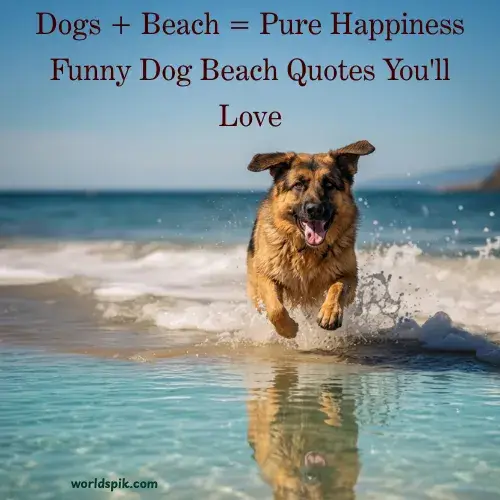 Dogs + Beach = Pure Happiness Funny Dog Beach Quotes You'll Love