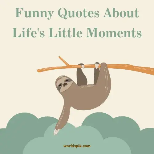 Funny Quotes About Life's Little Moments