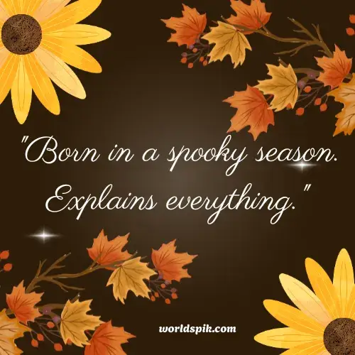 Funny October Birthday Quotes Everyone Will Love